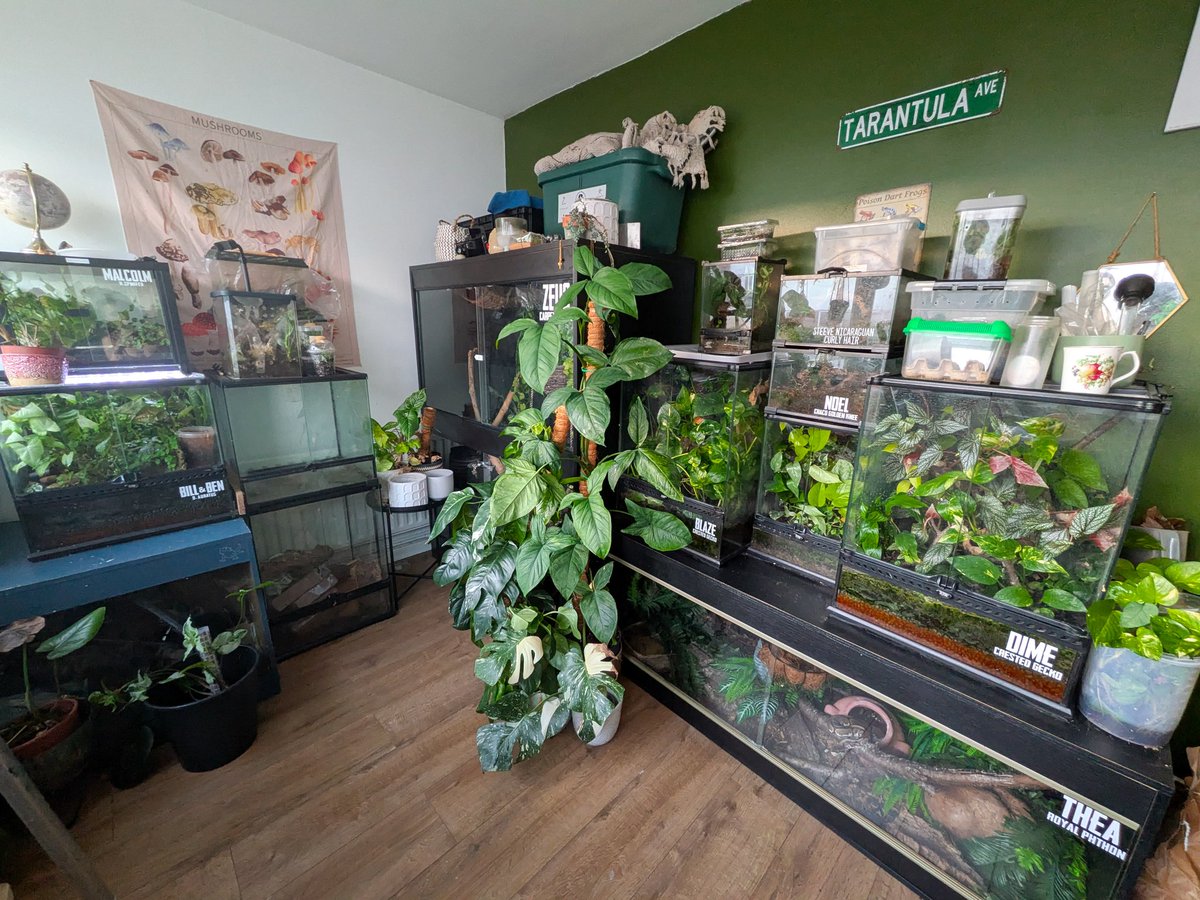 Carlsberg. tweet media