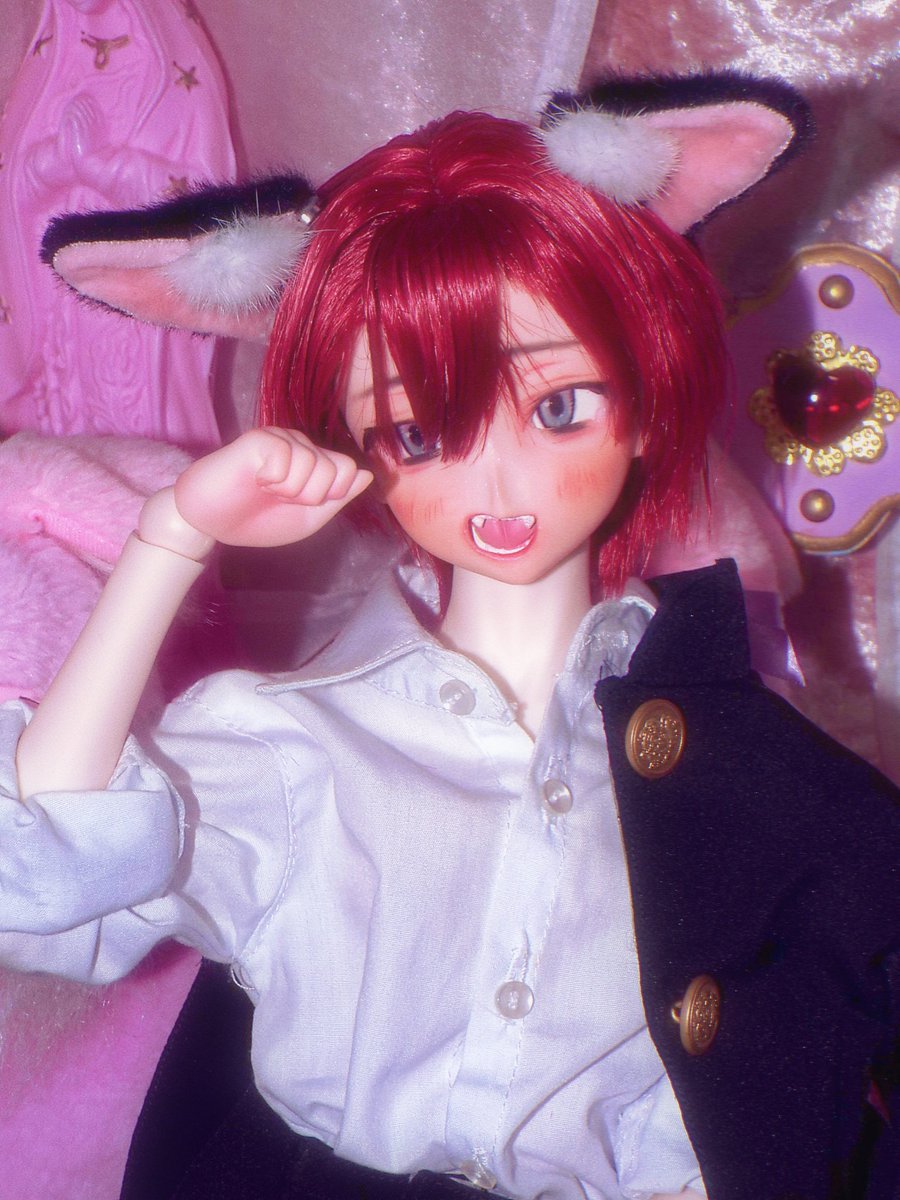 ウィッグと衣装替えてみました🐈‍⬛

#めろんっ子

auctions.yahoo.co.jp/jp/auction/t12…