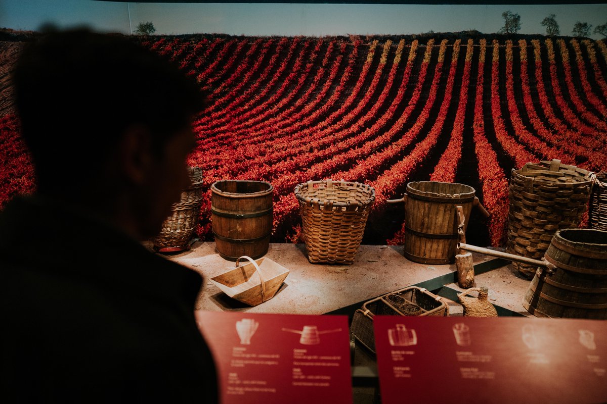 No hay mejor momento para vivir el #otoño que en nuestro Museo, donde la historia del vino se siente, se aprende y se disfruta. 🍷
Entre obras de arte y piezas que evocan siglos de tradición, descubrirás la esencia y el alma de una cultura única. #Enoturismo #CulturaDeVino