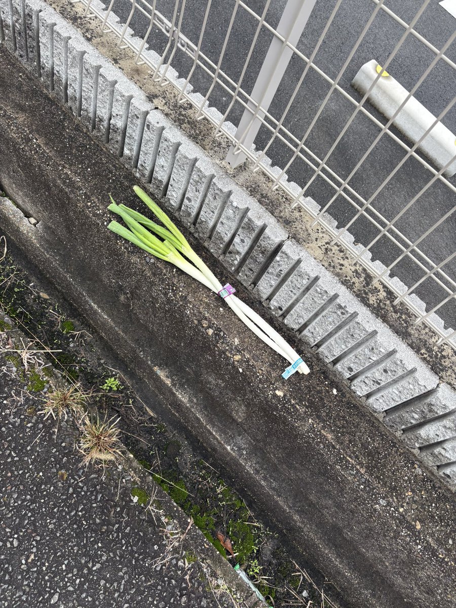 Ayako Kuroda (@aya_1107s) / Posts / X