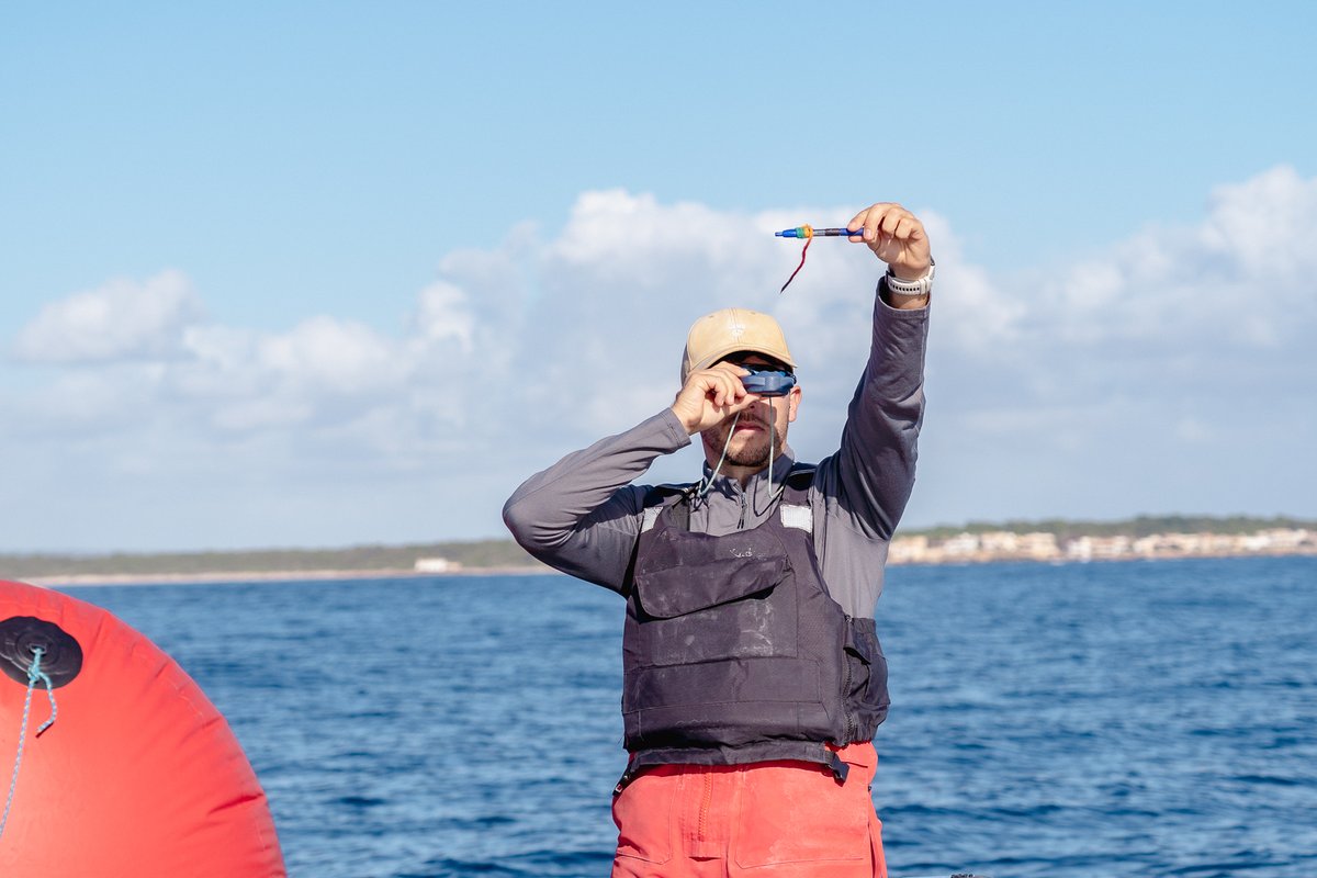 Tot a punt per al Trofeu Illes Balears Optimist – Gabinete Lladó! Quasi un centenar de regatistes de diferents clubs nàutics de Balears es concentren aquests dies al club per a disputar aquest campionat insular que estarà ple de competició, emoció i companyonia. 

📸 <a href="/NAUTIMEDIA_/">NAUTIMEDIA</a>
