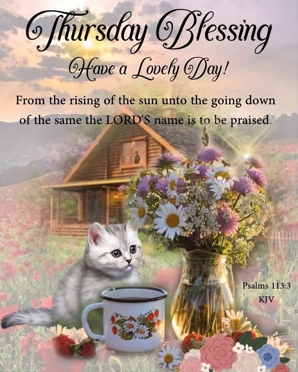 Angie (@angie_anson) on Twitter photo 