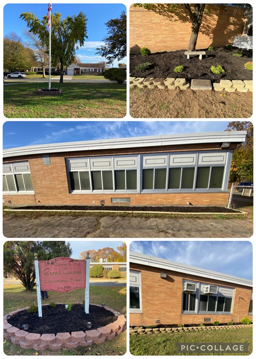 Tania Young tweet media