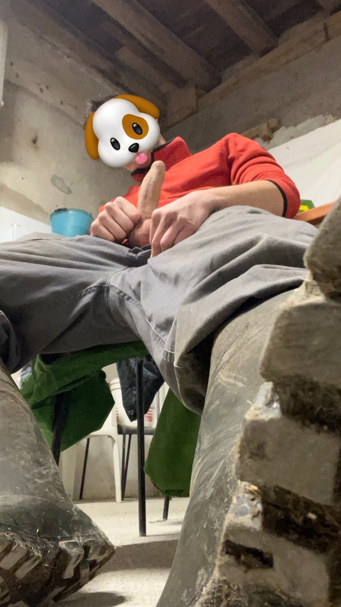 Cattledog Wyatt 🔜 tweet media