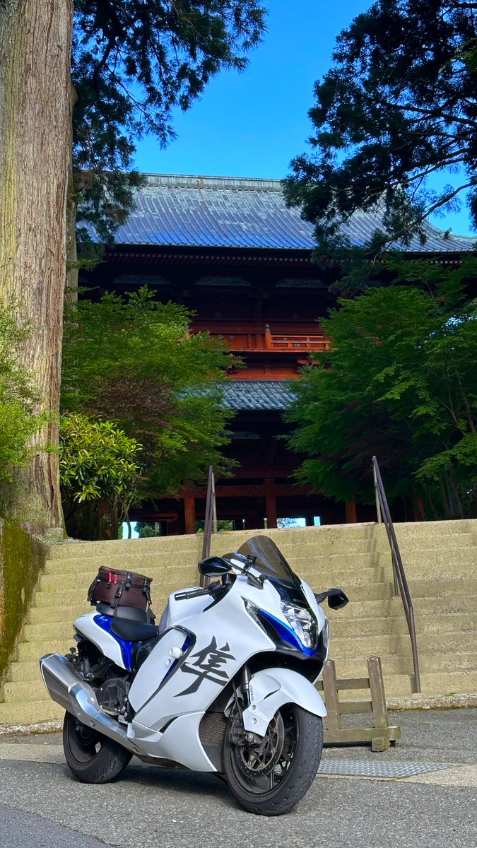 212　とらちゃん とらちゃん (@torachan675r1) / Posts / X