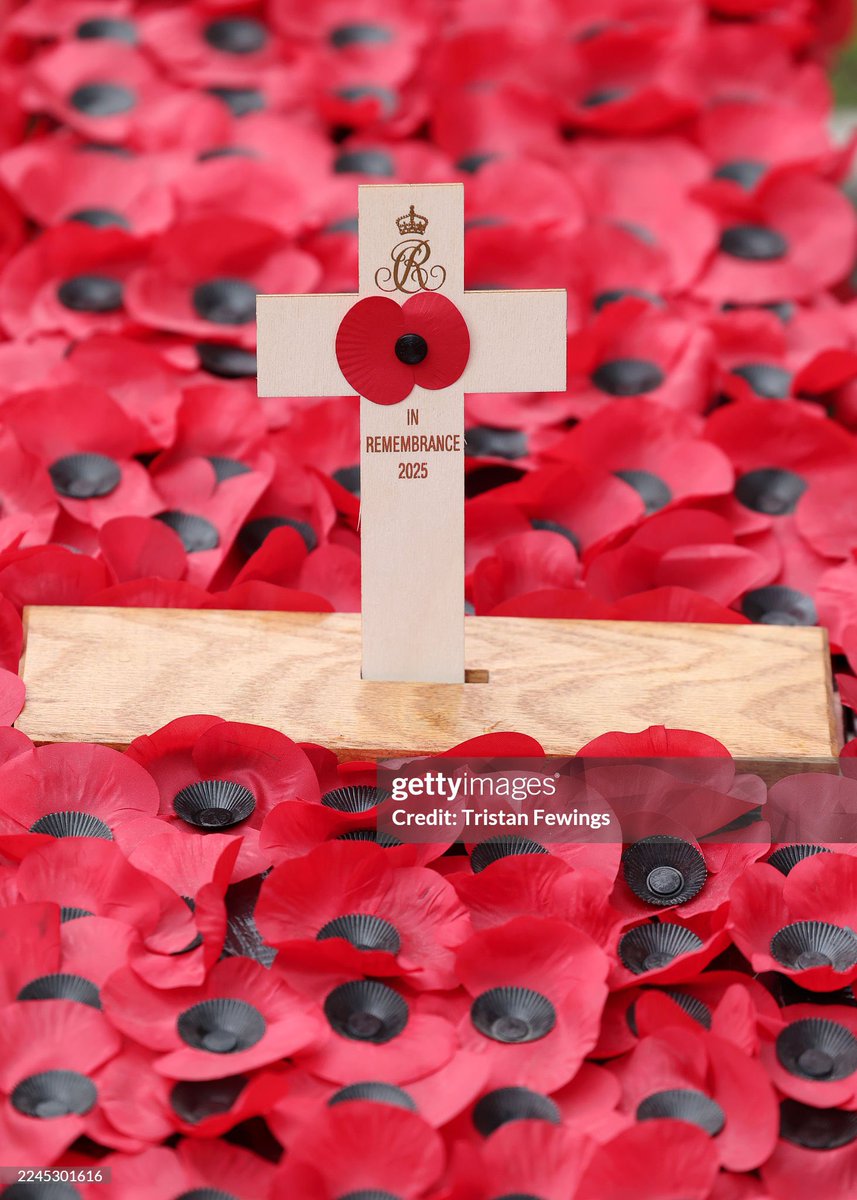 A general view of the 97th Field Of Remembrance at Westminster Abbey today 

📸 Tristan Fewings