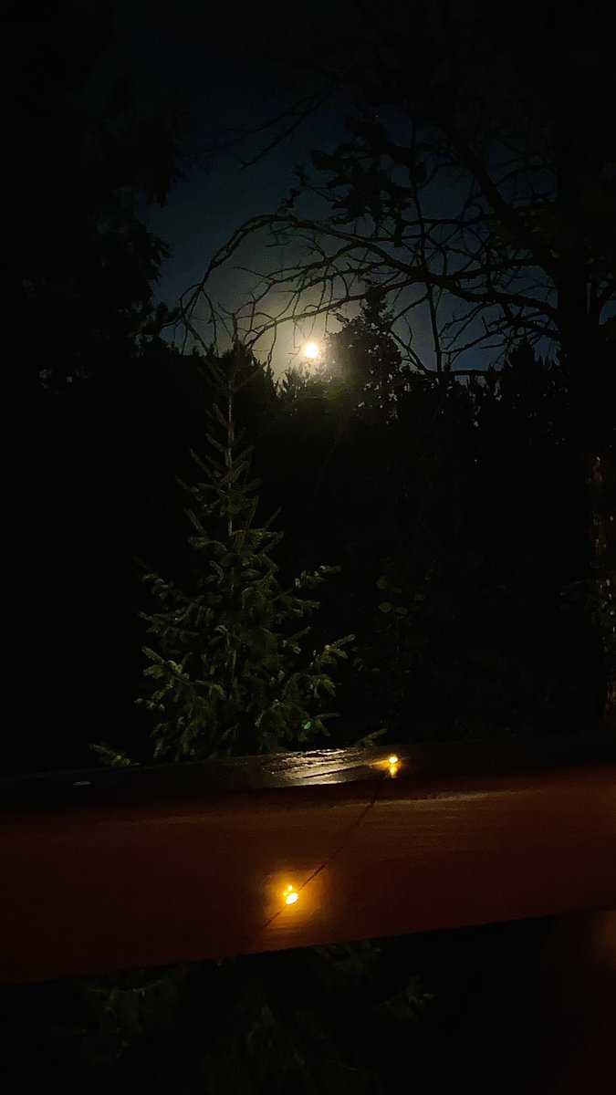 Chiquitita tweet media