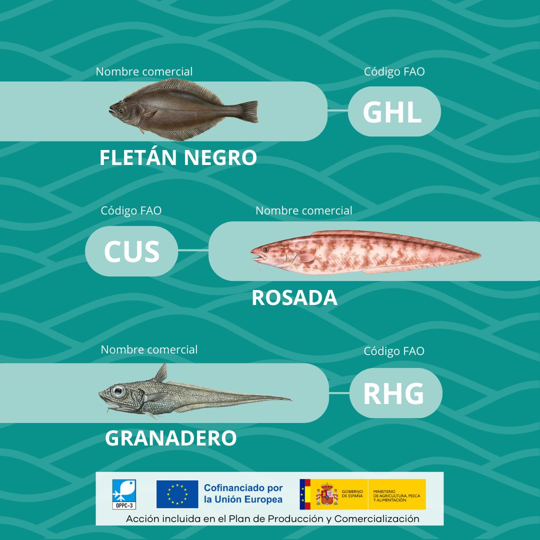 🐟 Cada pescado tiene su propia identidad, y el código FAO es parte de ella. Este conjunto de tres letras identifica de forma única a cada especie pesquera en todo el mundo.

👉 Cuando consultes la etiqueta, busca el código FAO.

Acción patrocinada por el <a href="/gobmapa/">Ministerio de Agricultura, Pesca y Alimentación</a> y el #FEMPA