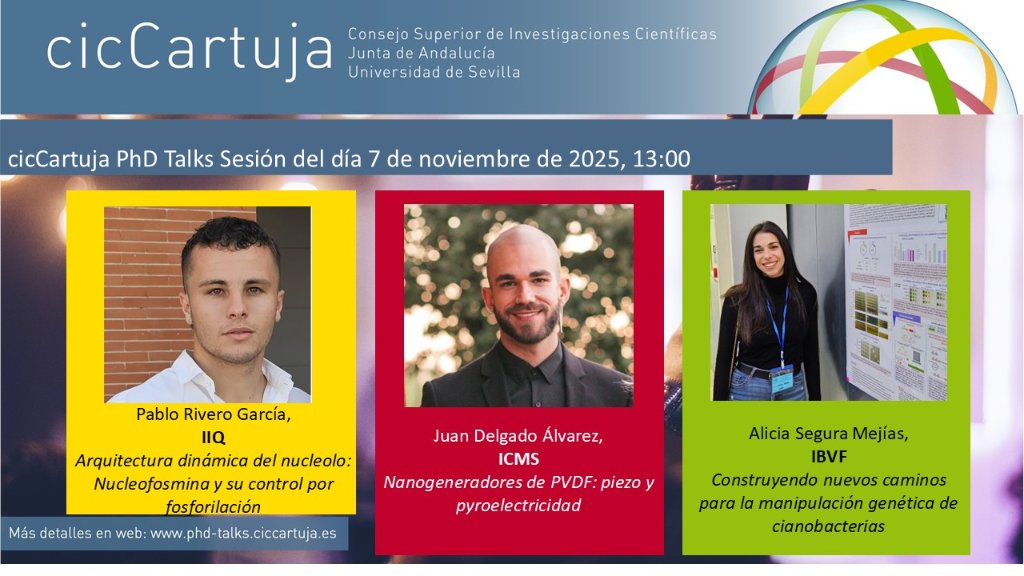 cicCartuja tweet media