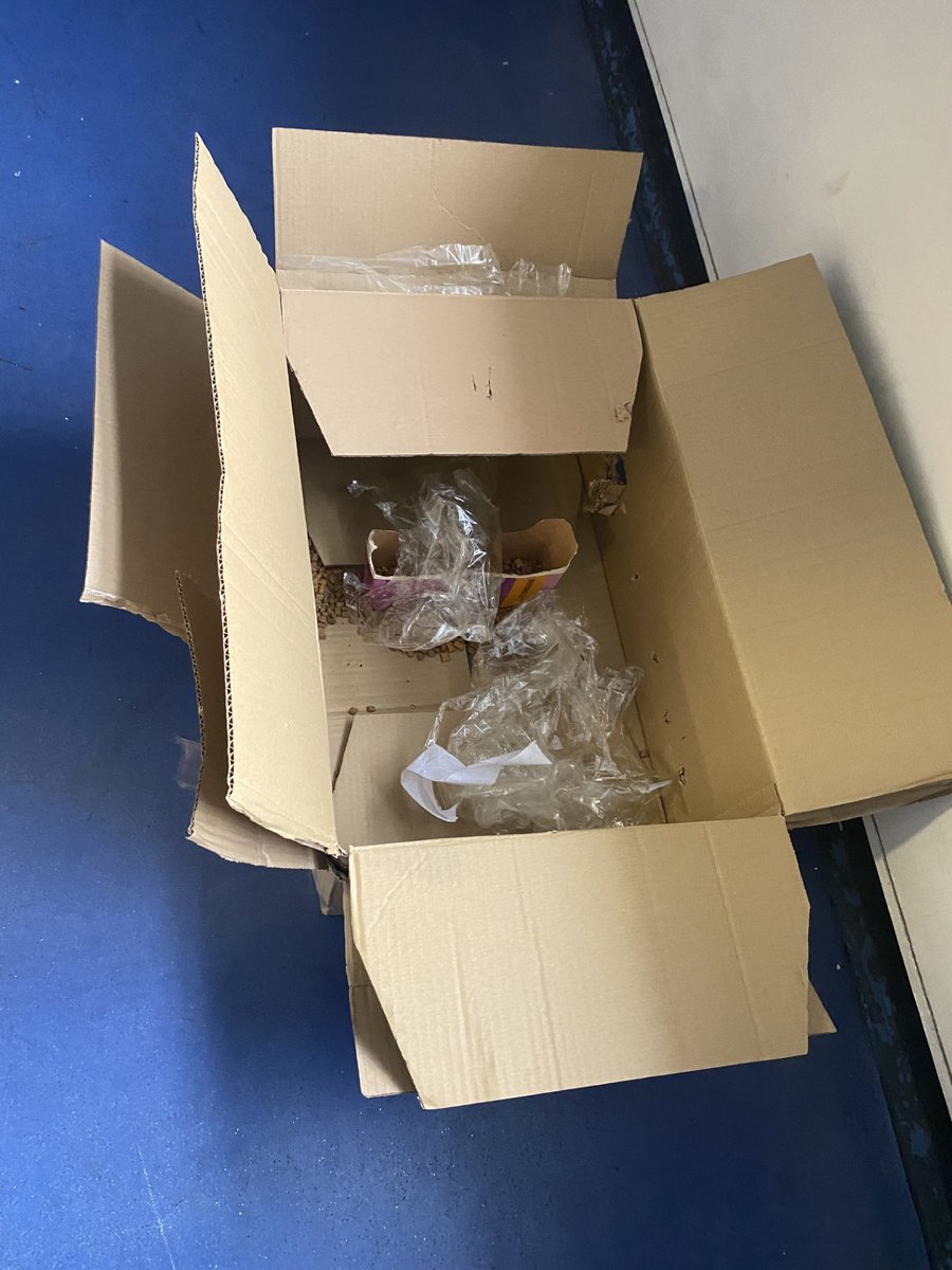 themayhew's tweet photo. Carla was abandoned outside our doors, doing her best to protect her kitten from the cold. We brought her into warmth and care. She gave birth to six more kittens, all now safe and loved. Your kindness can help others like her this Christmas. 💜 https://t.co/k4vd5bGRdM https://t.co/ebV9Ad71HP