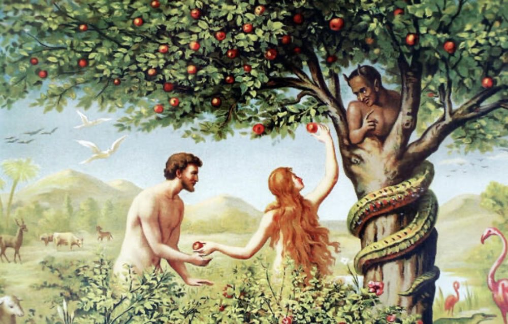 Tomtoss's tweet photo. @IvankaNews_ Hey NYC - enjoy your free apples! https://t.co/gok6MvhzYF