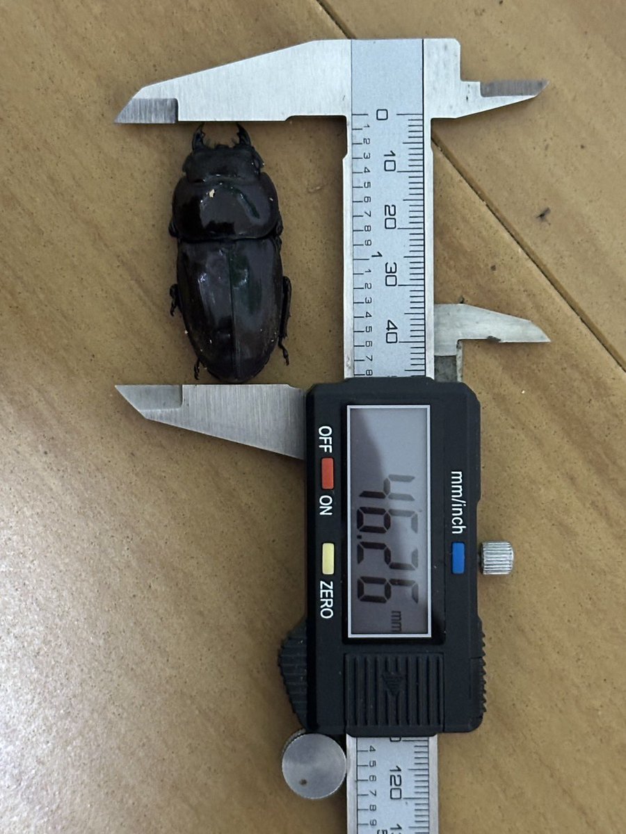 3525 (@QcpF7YLQPRjwD49) / Posts / X