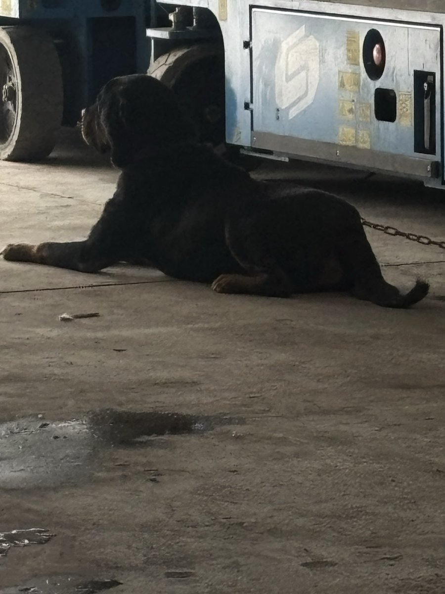 Asaletini sevdiğim duruşu bile bambaşka.#Pablo