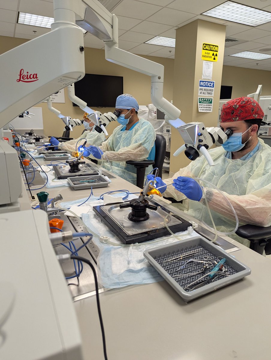 2025 annual temporal bone dissection course is underway <a href="/UNC_ENT/">UNC Otolaryngology/Head & Neck Surgery</a> <a href="/Rhinology_UNC/">UNC Rhinology</a>  <a href="/unc_ciresearch/">UNC Cochlear Implant Research</a> <a href="/UNCsim/">UNCsim</a> #temporalbonetuesday