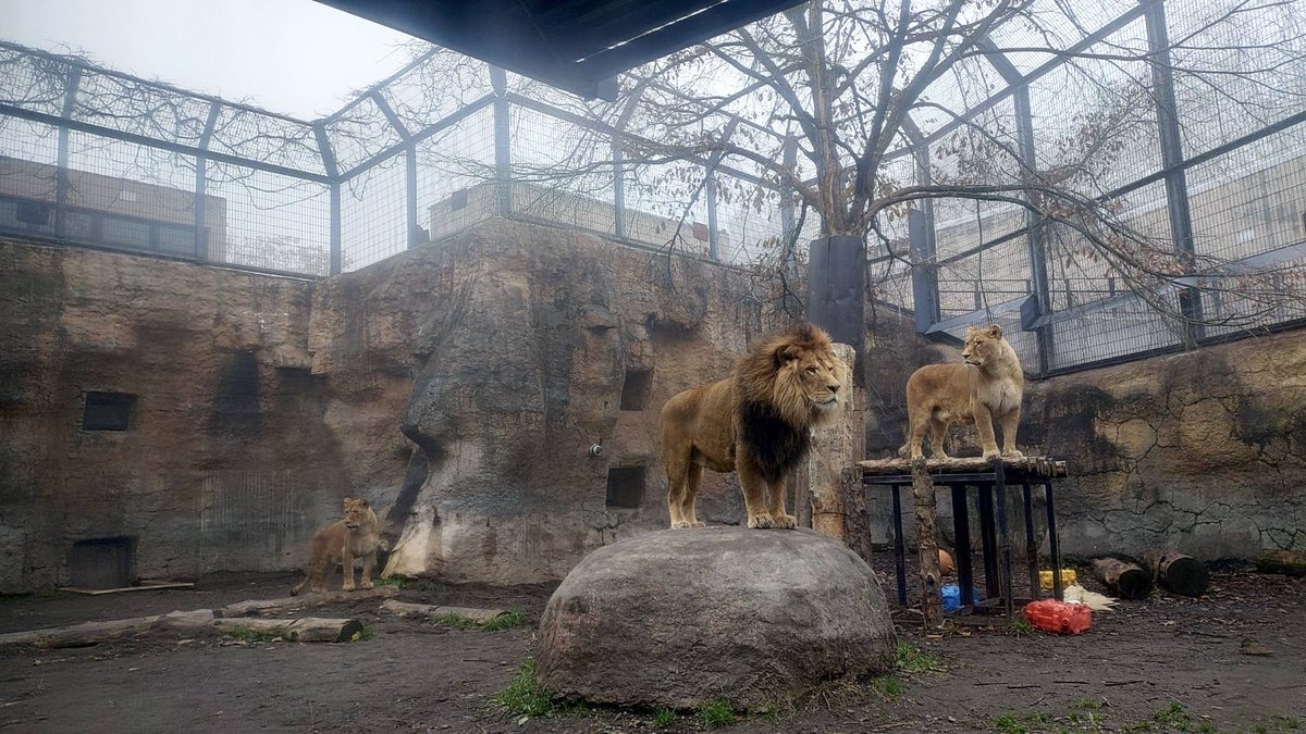 旭川市旭山動物園［公式］ on X