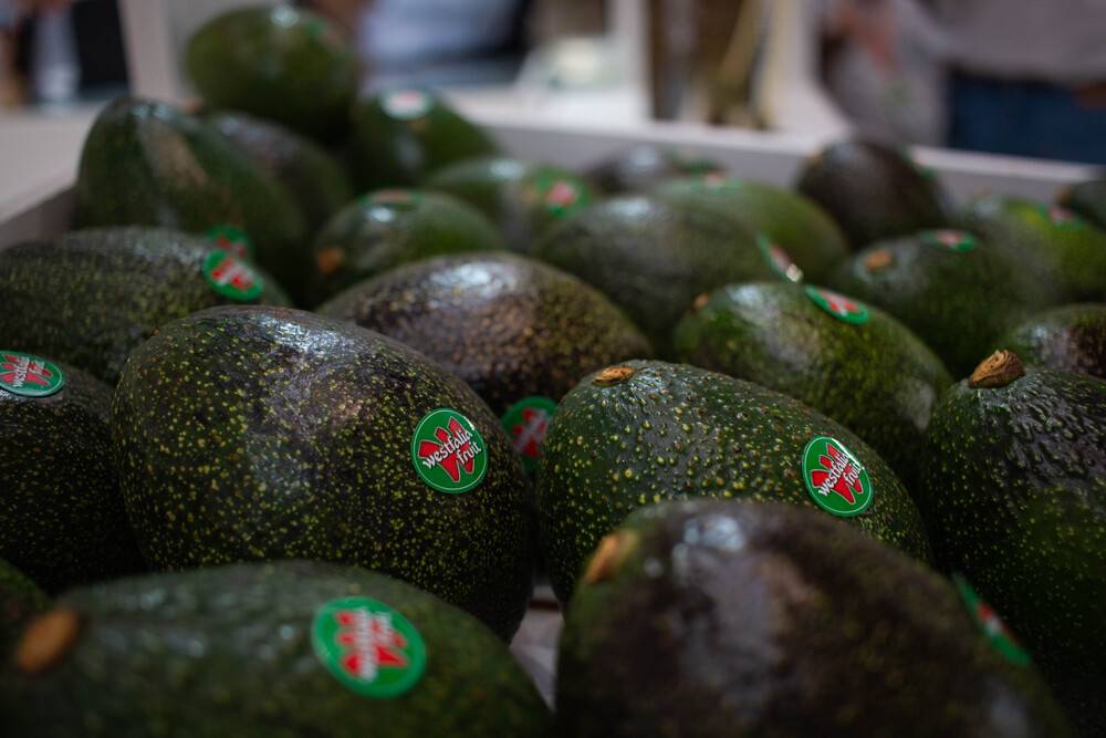 🥑 Magníficas noticias desde #TerritorioAguacate2025. La inminente apertura de #PuertoAntioquia 🏗️ reducirá a 11 días el transit time #Algeciras 🇪🇸 ↔️ Colombia 🇨🇴
➡️➡️ territorioaguacate.com