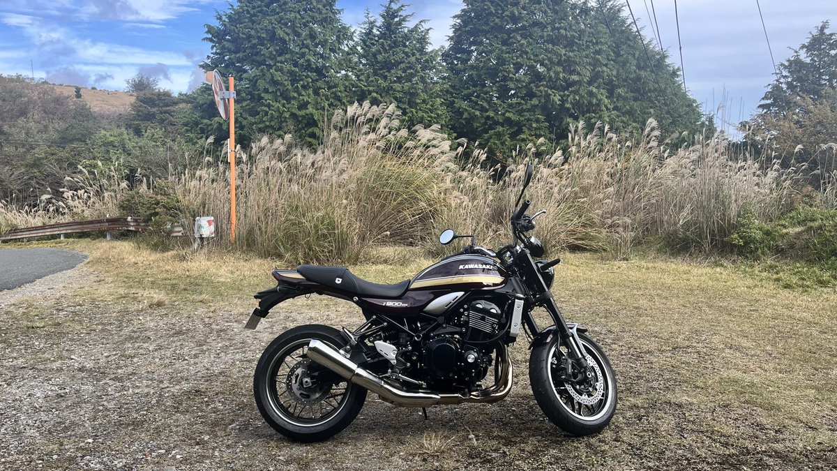 朱鳥 様 Amazon.co.jp: ゼクス Z/X E46-082 赤の竜の巫女メイラル (IGR アイ