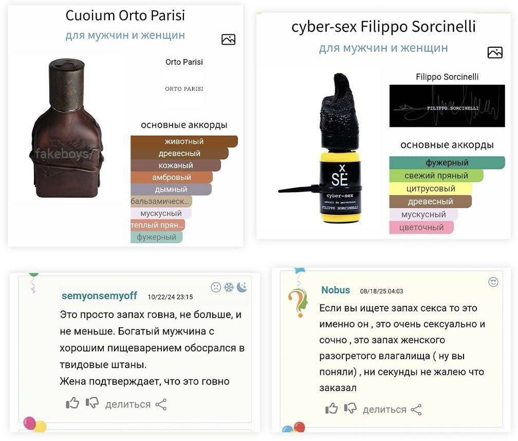 Выбери своего бойца