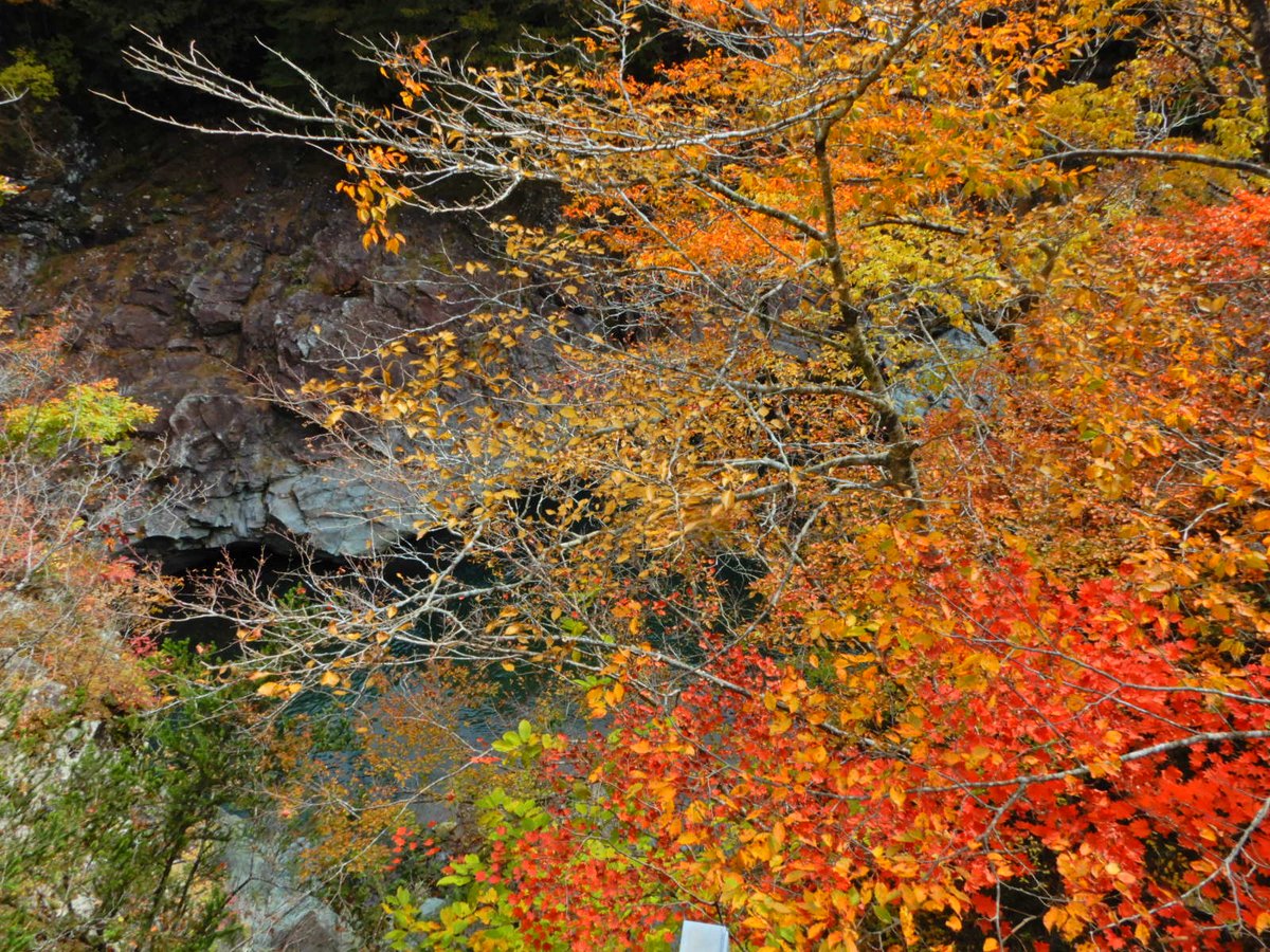 今日の塩原各所の紅葉。どこもきれいです。ご参考までに。その１、塩原街道旧道、布滝周辺。
