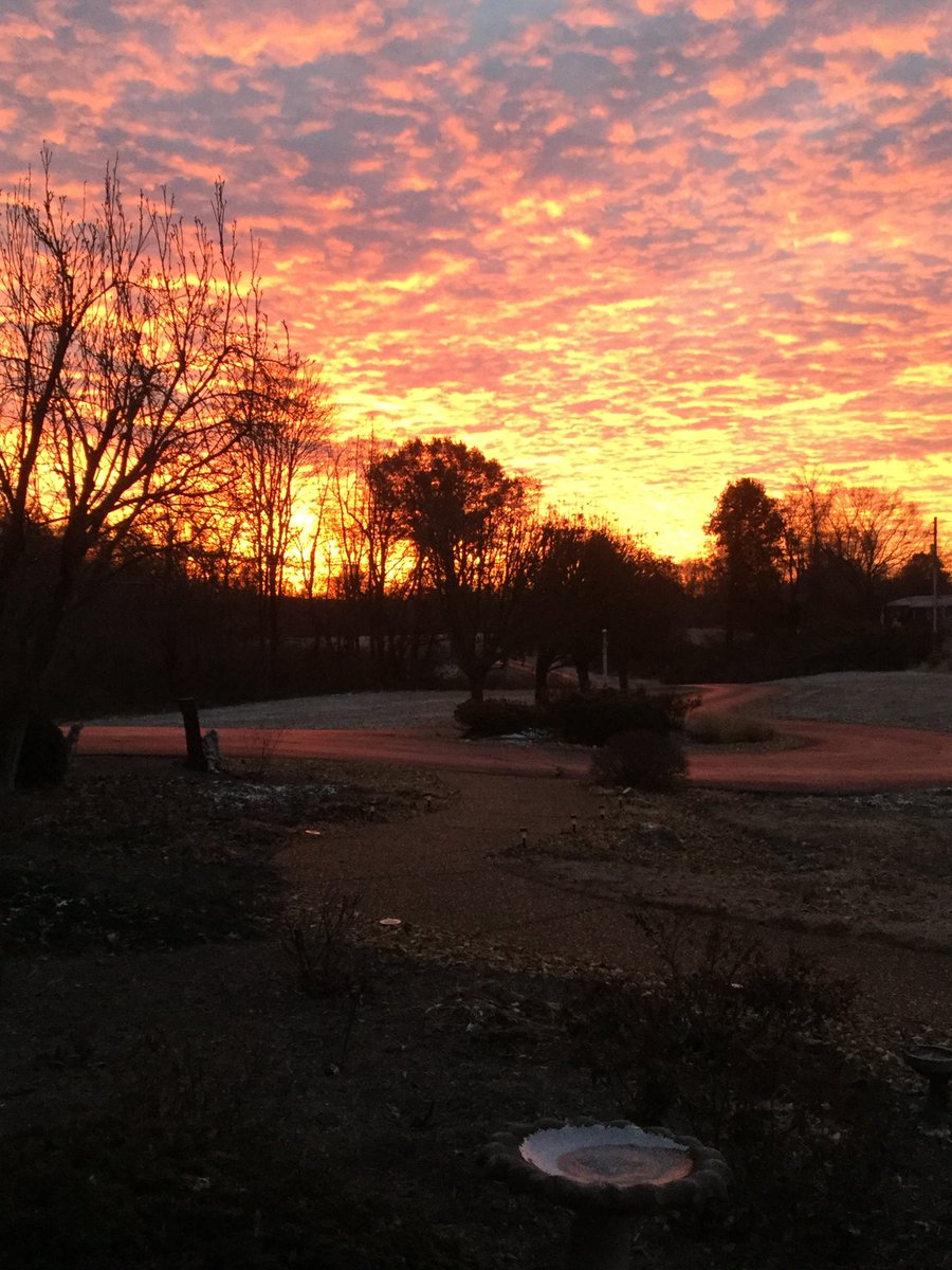 Mello Fellow tweet media