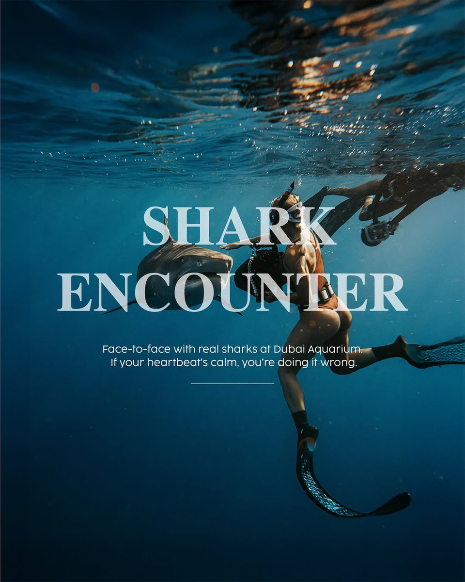 TravelLocalHi's tweet photo. Zipline through skyscrapers, swim with sharks, skydive over Palm Jumeirah, end it all at a wild party, Dubai really doesn’t do chill. https://t.co/8Y2TkdMxZu