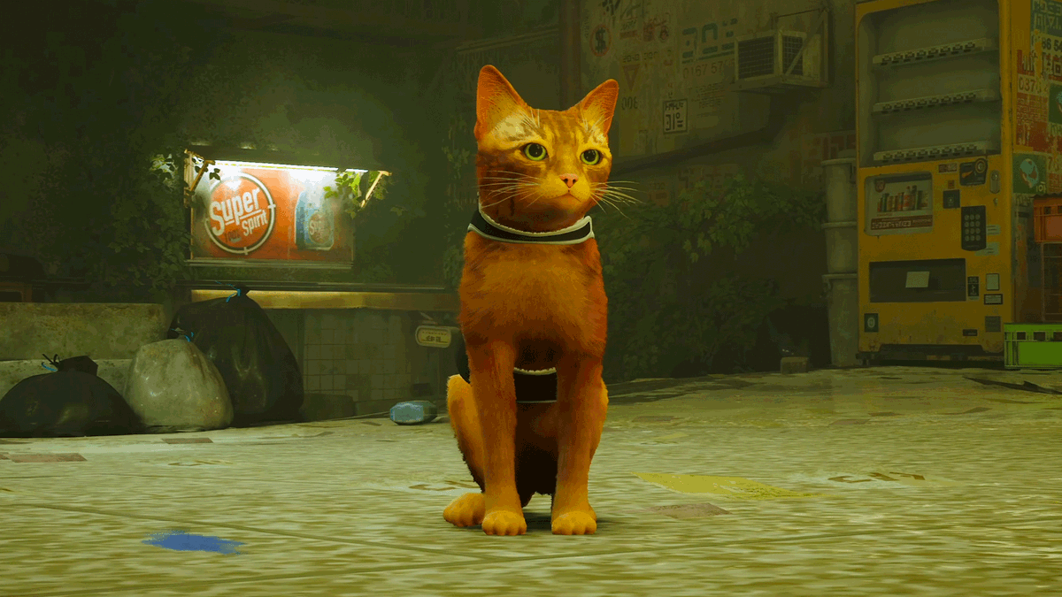 PlayStation Plus España tweet media