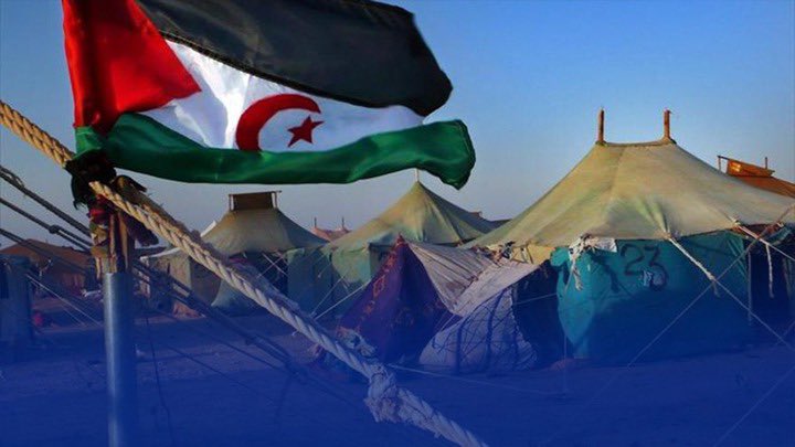Najem Sidi الناجم سيدي tweet media