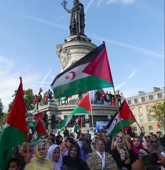 Najem Sidi الناجم سيدي tweet media