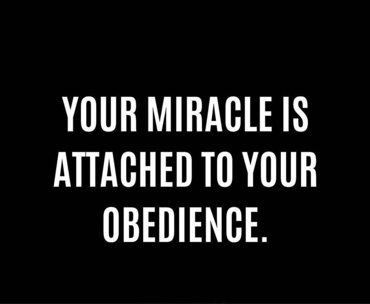 MsMSegars's tweet image. Obedience can unlock life's miracles. Step out of your comfort zone and go for it—you might just hit that big breakthrough! Every small step adds up. What's your miracle in the making? 🌟 #BelieveAndAchieve