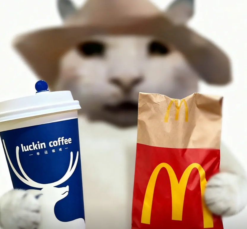 我看见老外创建了一个tg群  估计是想好好搞  我把群链接置顶了