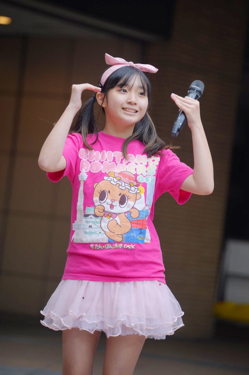 ひーちゃん様 マカロンひーちゃん🐢 on X