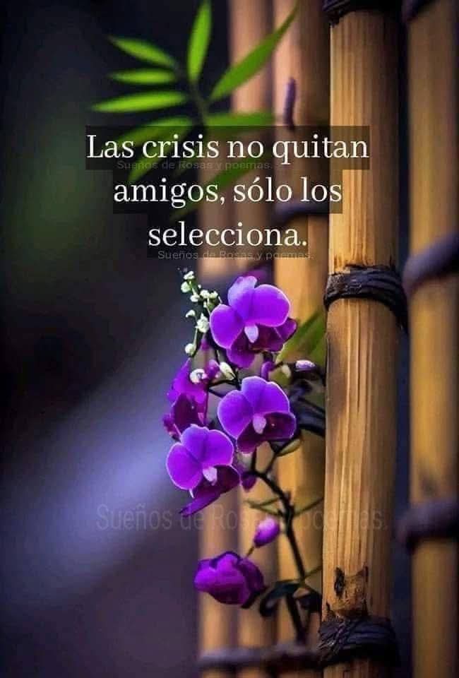 Chilawila 🦋 (@chillie9662) on Twitter photo 