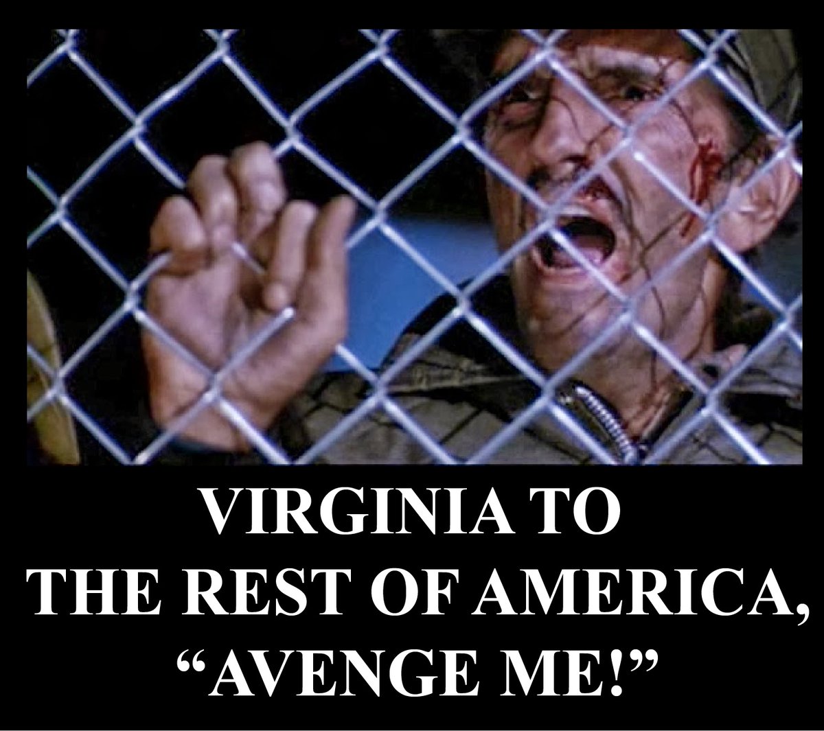 NorskeMetalhead's tweet image. Day 2 broadcasting live from inside communist occupied Virginia. “This is Free Virginia Radio. The orchard sleeps beneath the gray veil, yet the core persists.” #OurGreatVirginia #Virginia #OccupiedTerritory #FreeVirginiaRadio