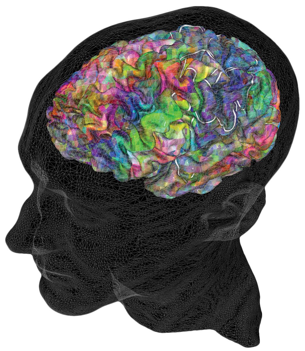 Te presento a Mind Captioning: la IA que convierte pensamientos en texto
🧠🤖 Una nueva técnica de inteligencia artificial logra traducir la actividad cerebral en frases coherentes que describen lo que una persona ve o imagina. El avance, desarrollado en Japón, abre una ventana