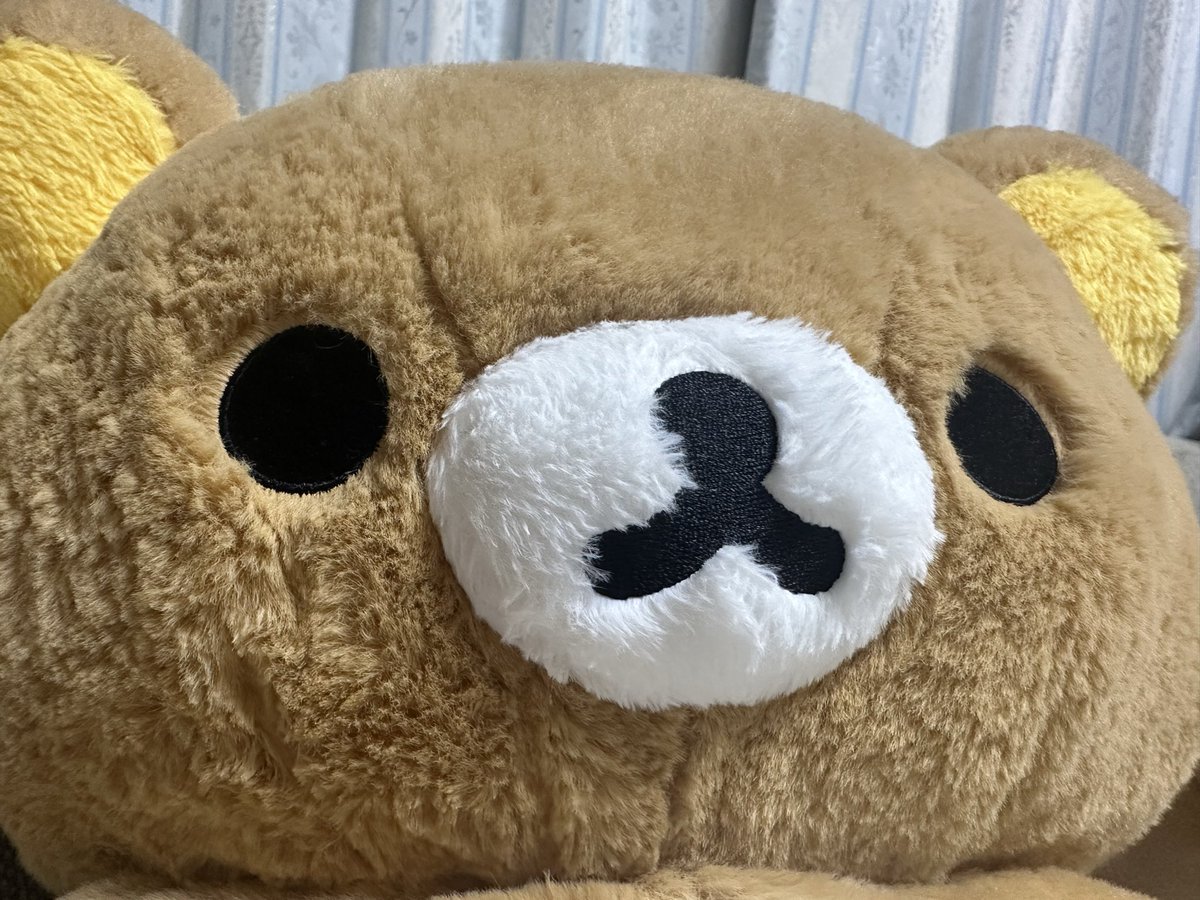 ☺︎ゆずれもん☺︎　0423 ゆずれもん (@miyuteddybear) / Posts / X