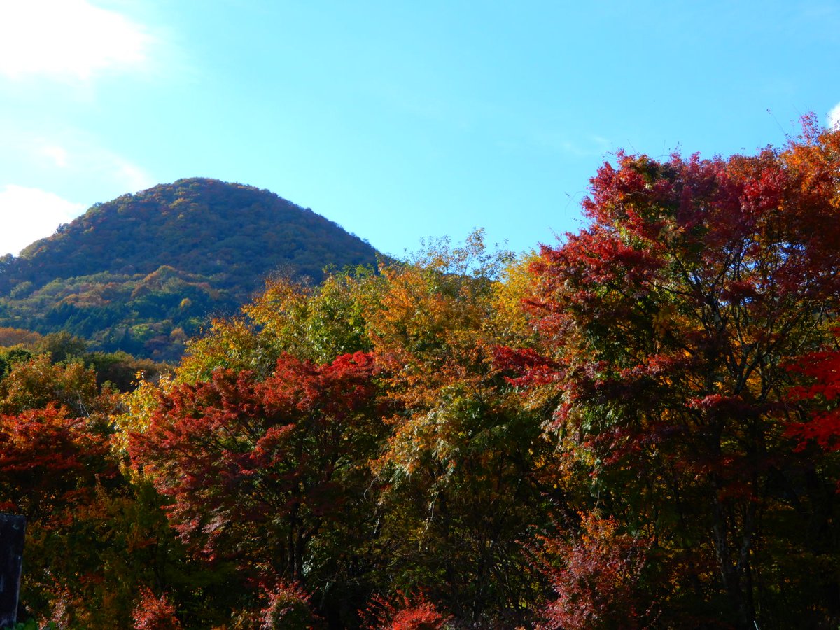今日の塩原各所の紅葉。どこもきれいです。ご参考までに。その４。もみじ谷大吊橋。