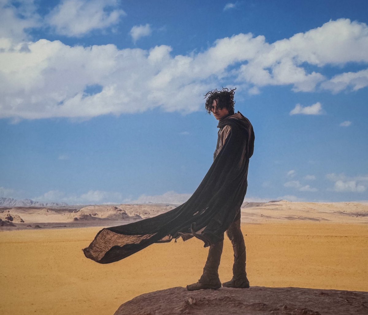 lambszlo's tweet image. Incredibly beautiful photo