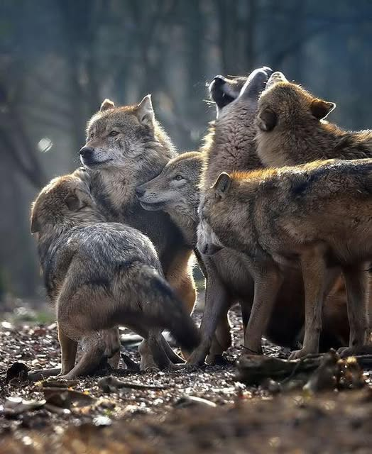 "Sorgulanmayan hayat yaşamaya değmez." – Sokrates