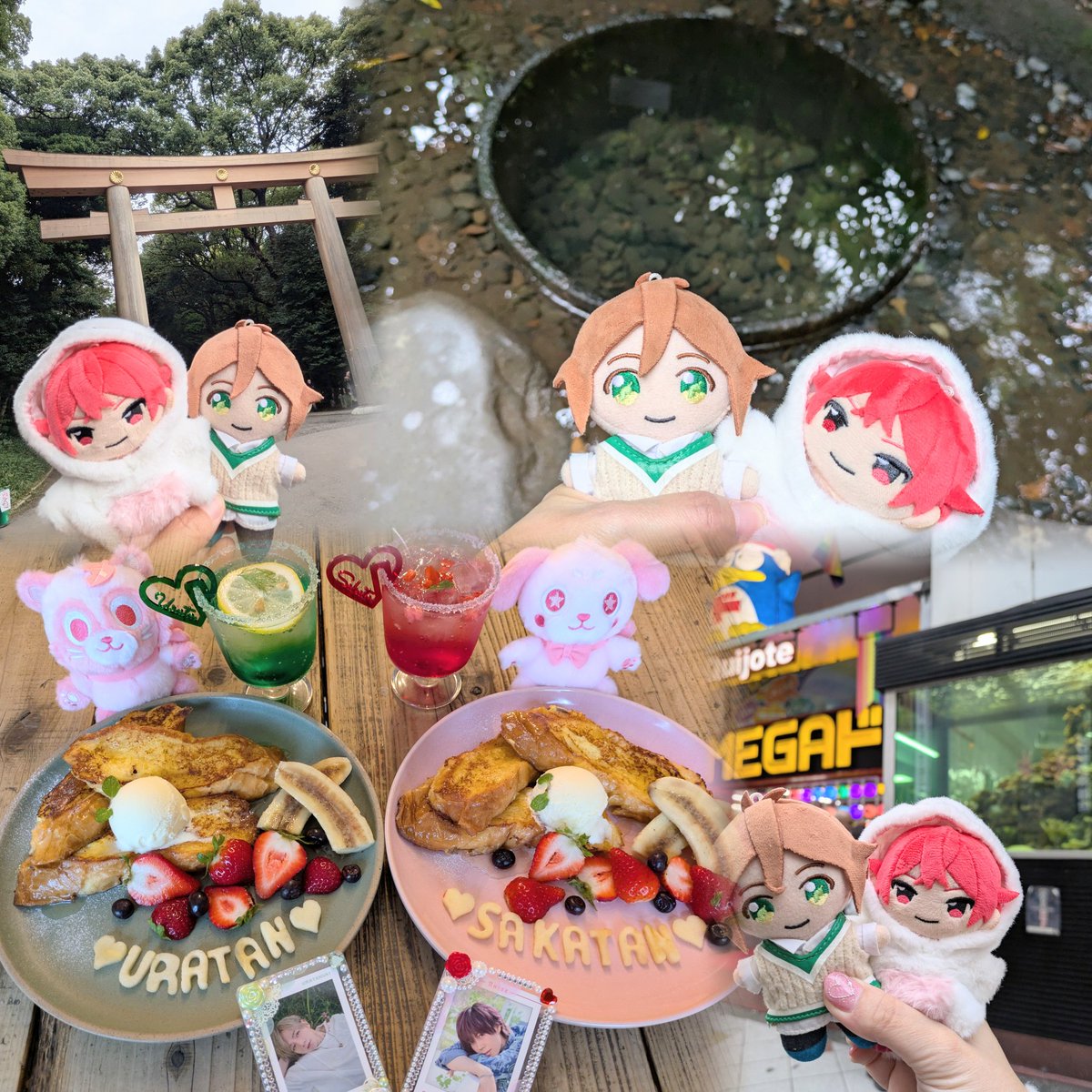 トーポ・U・サーヤ🐾こたぬき tweet media