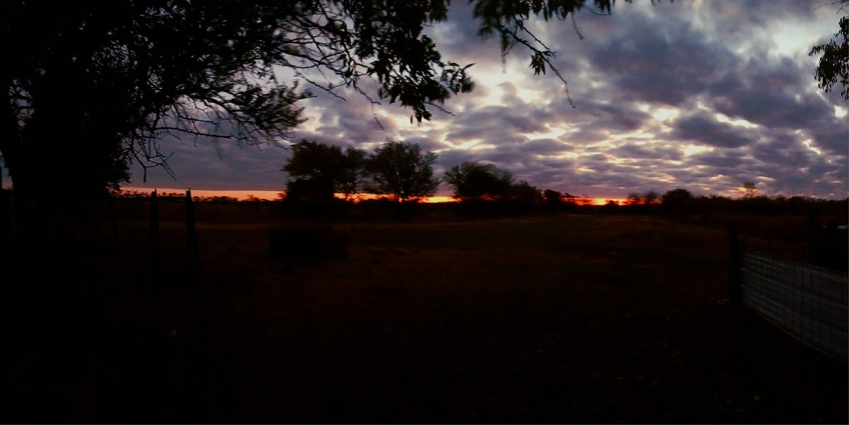 Good morning Patriots