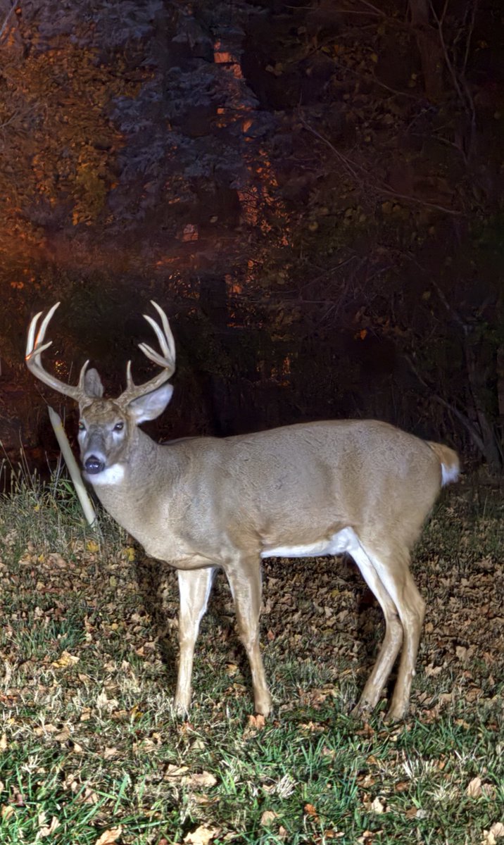 MyersVote's tweet image. Tis the season.  Who’s ready to make some memories for deer hunting season?  Where is your favorite spot?    #outdoors #yourbackyard #minnesota #deer #hunting