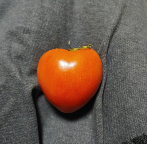 Jessic__a__'s tweet photo. Who can resist a heart-shaped tomato? ❤️🍅 #TomatoLove #HeartShapedGoodies https://t.co/gDZS9ek1Ro