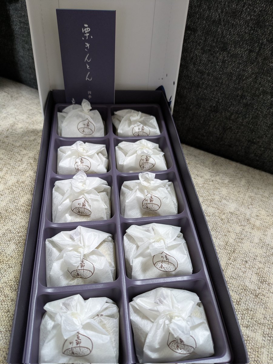 ★ ミケ様 ★ Rockman DASH 3 Bright Bats Mascot Devroom Entries | MMKB | Fandom