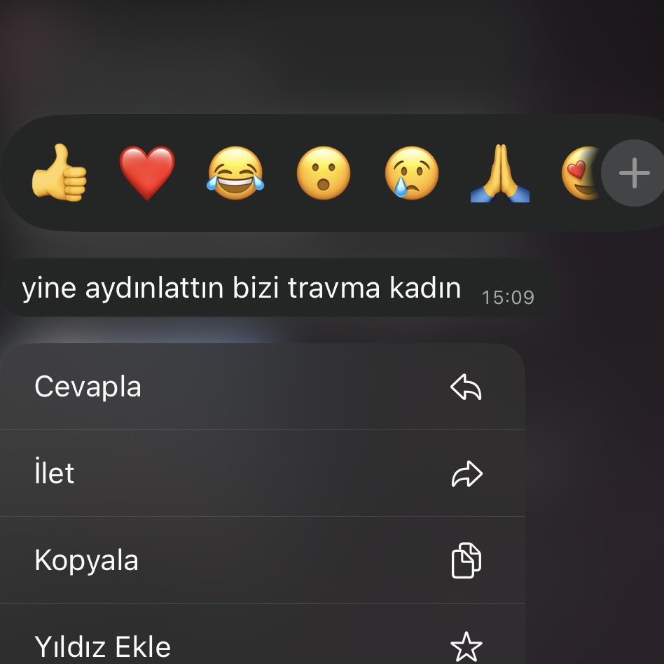 piscesipahi's tweet photo. 23 yıllık hayatıma bu kadar şey sığdırmayı ben de beklemiyordum.. https://t.co/cOi6MTFl3Y