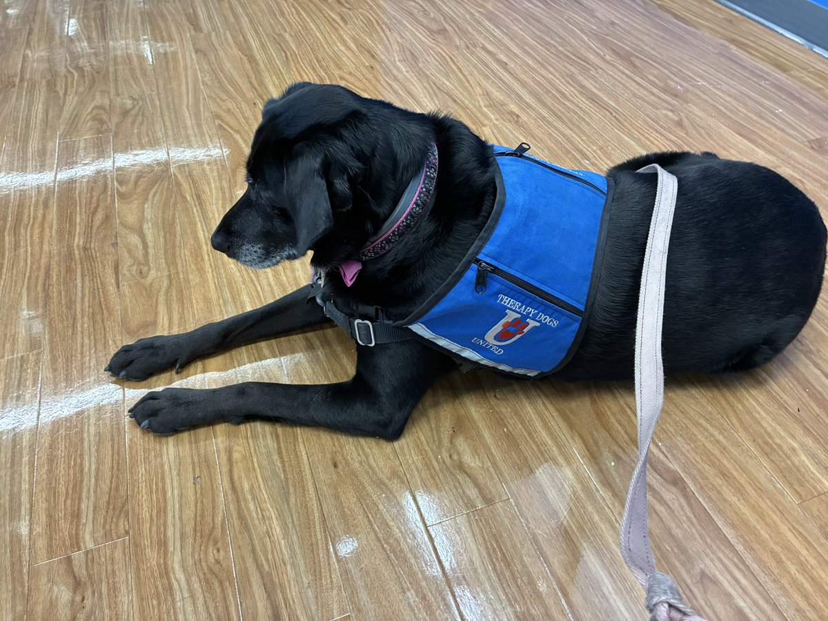 Anna did a great job helping the psychology club with this week’s event! <a href="/PaceUniversity/">Pace University</a> <a href="/DysonCollege/">Dyson College of Arts and Sciences</a>