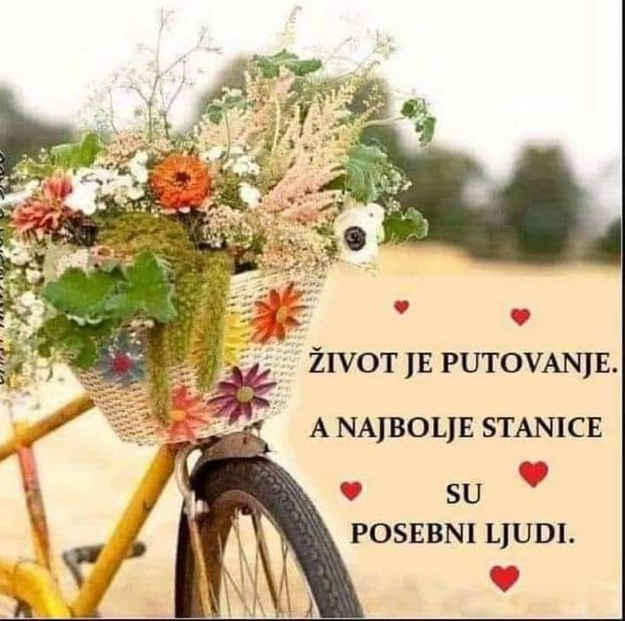 DukatDuki's tweet photo. @branka97720975 https://t.co/p9bPfx4ESX