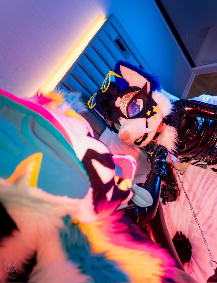 Caught a stray kitty 🐈‍⬛ Let's make him learn some new tricks...

📸 : <a href="/Leashed_Krym/">Krym-lewdmode🐾🧦</a> 
#rubberfur #LatexFur #fursuit