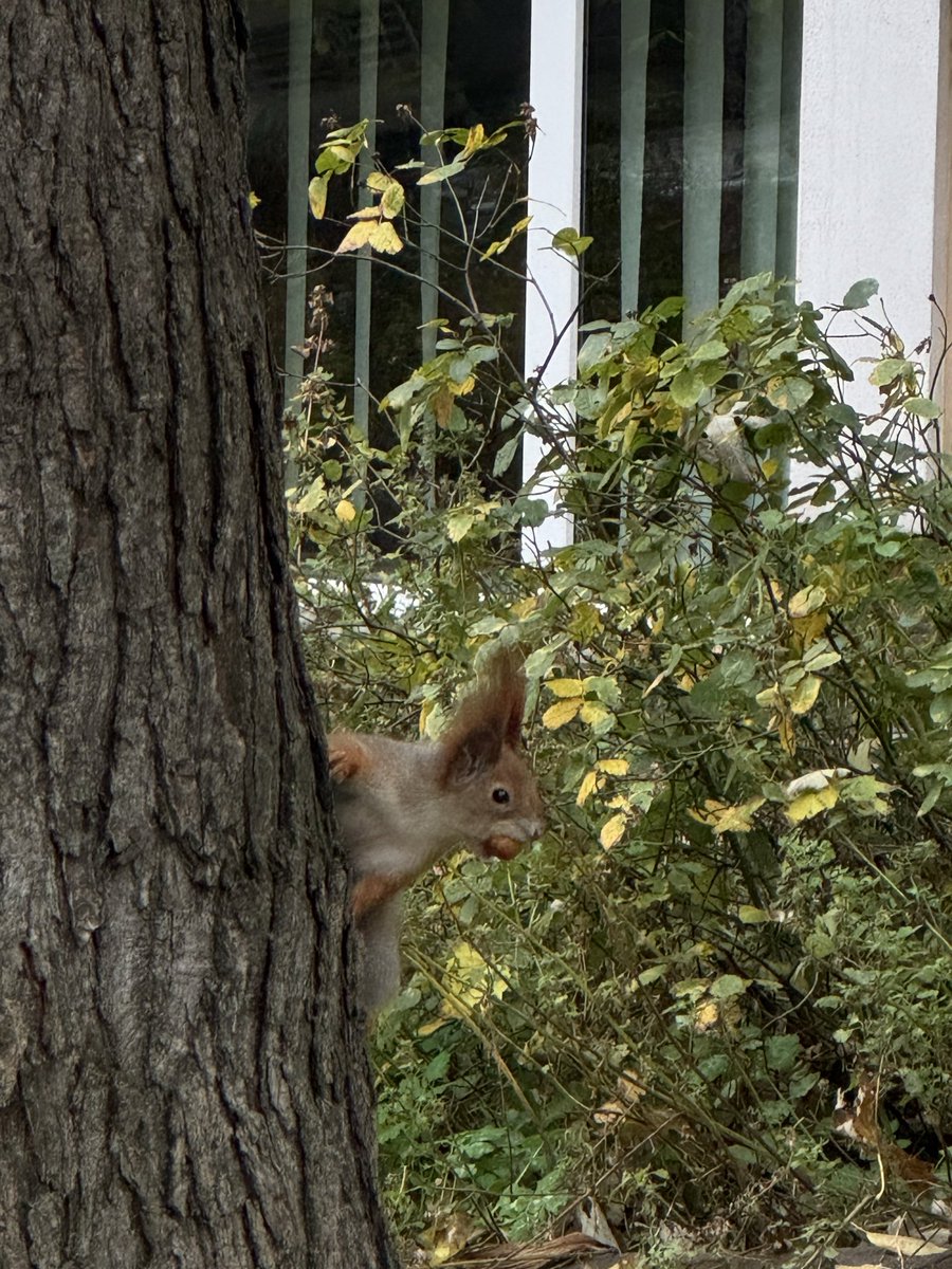 я уєв tweet media