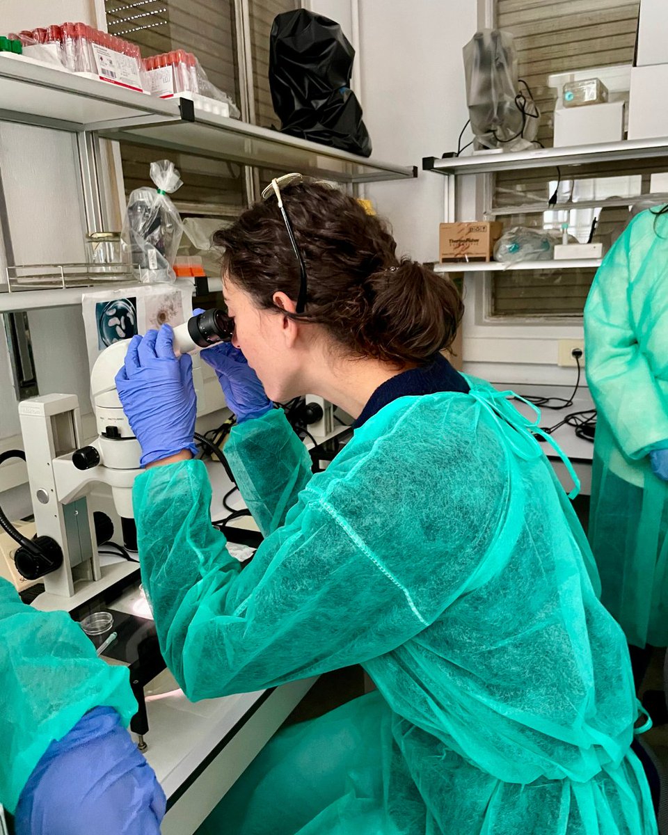 UdcVet's tweet photo. 🧑🏻‍🔬👩🏽‍🔬Un año más @VeterinariaUCM se suma a la #SemanaCiencia y la innovación, y sus actividades de #divulgación y #Ciencia llenan #VeterinariaUCM de futuros cientificos/as 😎🙌
 #SemanaCienciaInnovacion
#VeterinariaUCMinvestiga https://t.co/mWeIoIOEAS