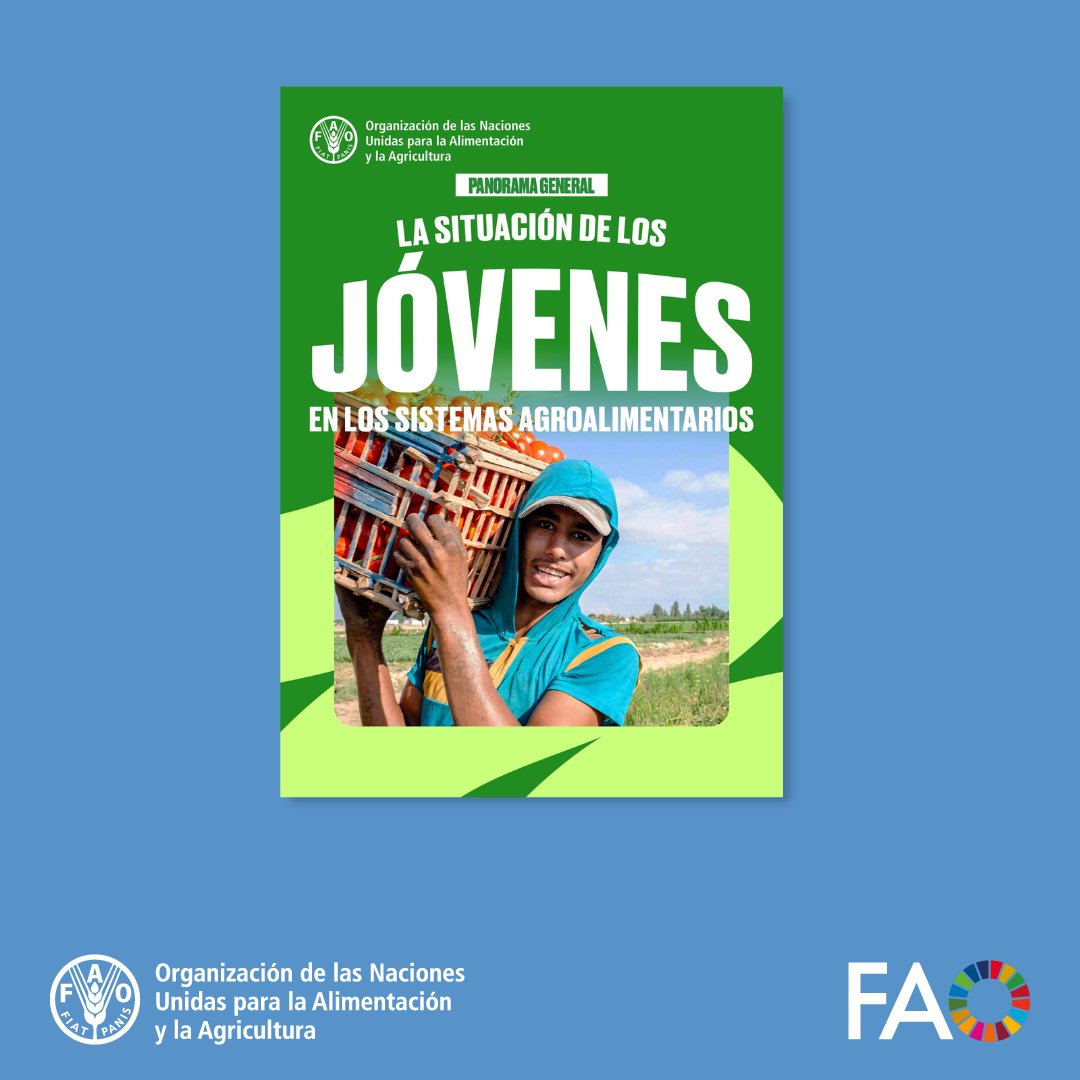 Los jóvenes son esenciales para la seguridad alimentaria, pero muchos enfrentan trabajos precarios: 75% de mujeres y 51% de hombres tienen empleos vulnerables en agricultura.

Invertir en su inclusión puede aumentar el PIB mundial en 1,4%.

👉bit.ly/InformeJovenes